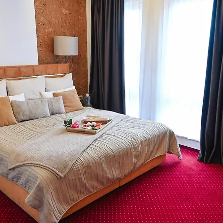 Bucharest Airport Hotel-2